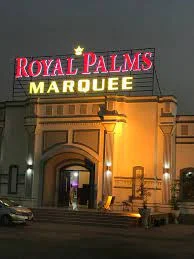 Royal palm 