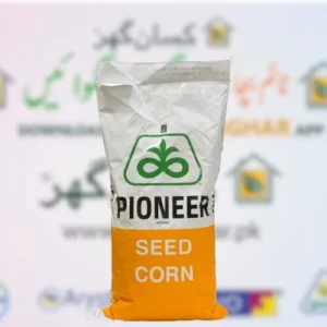 P4040 Seed Price in Pakistan